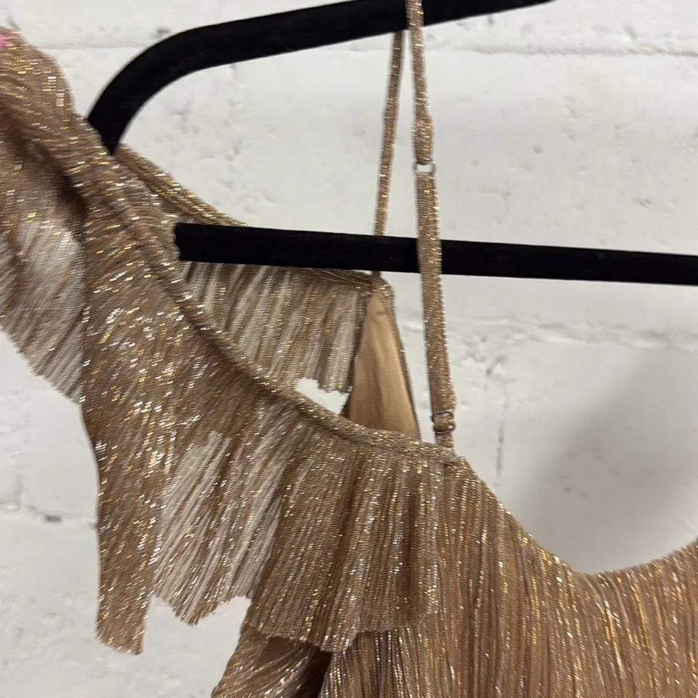 Elegant Brown Ruffled Gold TJD One Piece NWT - Size XS Body Suit in Blush